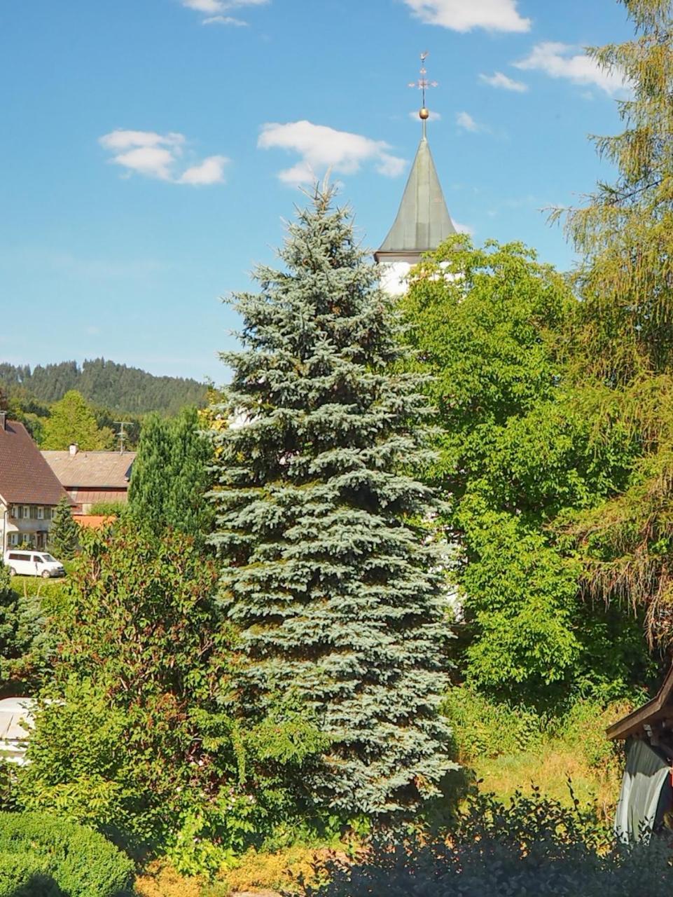 Landgasthof Zum Schwarzen Grat Isny im Allgäu Buitenkant foto